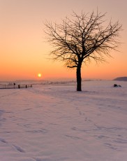 Think Cold, Think Winter