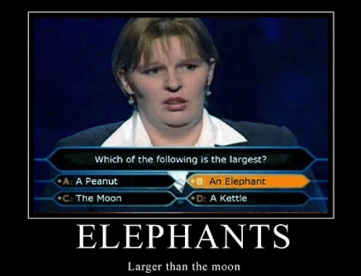 NorthGeek | I love funny email